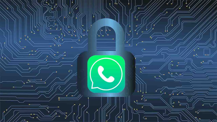 WhatsApp account safety tips