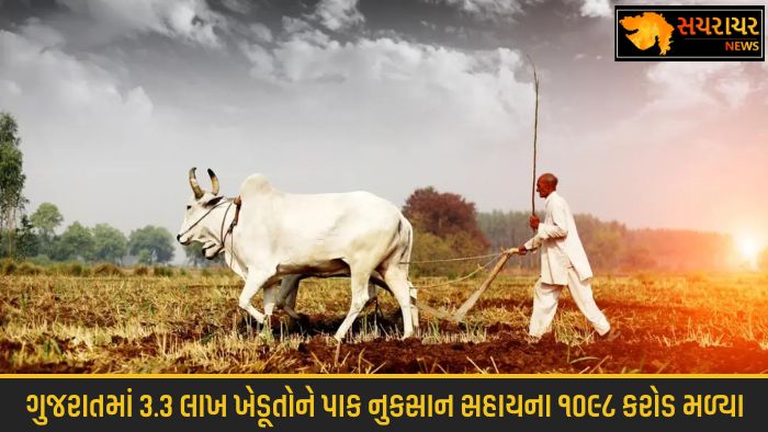 Crop loss aid Rs 1098 crore disbursed to 3.3L farmers in Gujarat