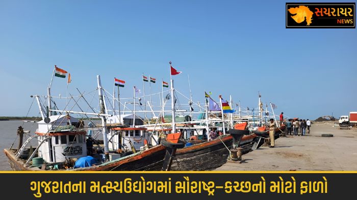 Saurashtra-Kutch contributes up to 80% to Gujarat's fisheries industry
