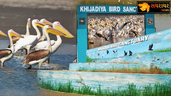 Khijadia Bird Sanctuary