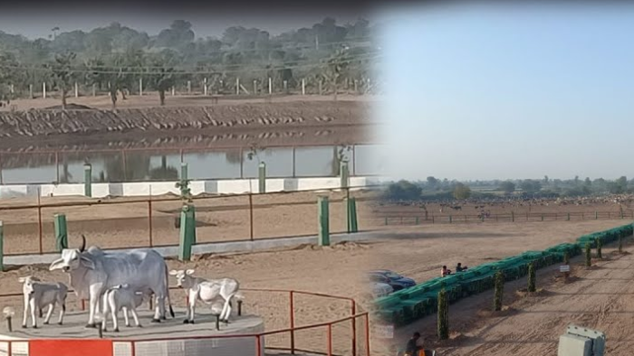 vav-tharad-suigam-gau-abhayaranya-project-banaskantha-news