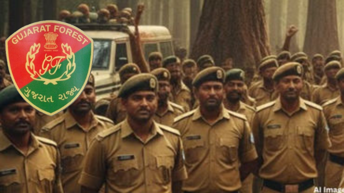 Gujarat Forest Department Promotion
