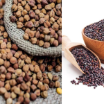 chana-rai-msp-registration