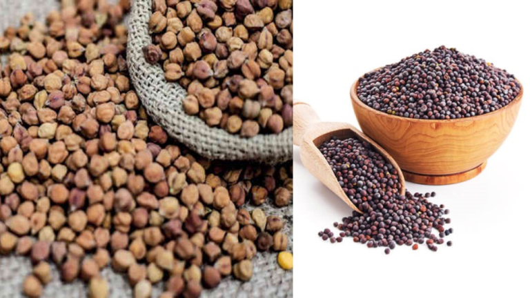 chana-rai-msp-registration