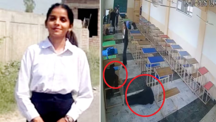 punjab-law-college-shooting-case-tarntaran-news