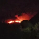 chhota-udaipur-forest-fire-vagh-sthal-hills-gujarat-news