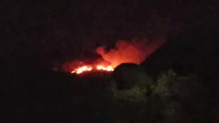 chhota-udaipur-forest-fire-vagh-sthal-hills-gujarat-news