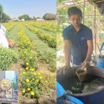 rajkot-gunda-village-farmer-cow-based-natural-farming-success-story-biogas-plant