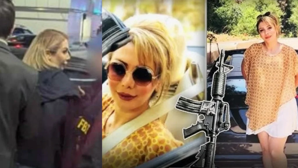 Green card holder held at US airport over Iran-linked arms trafficking charges