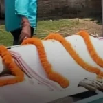 brave-dog-kali-saves-30-students-from-snake-odisha