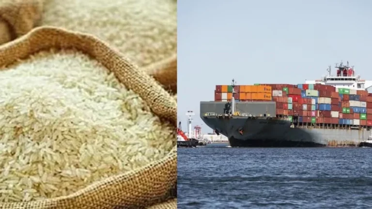 Rice Export Decline