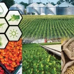 India Africa Food Security