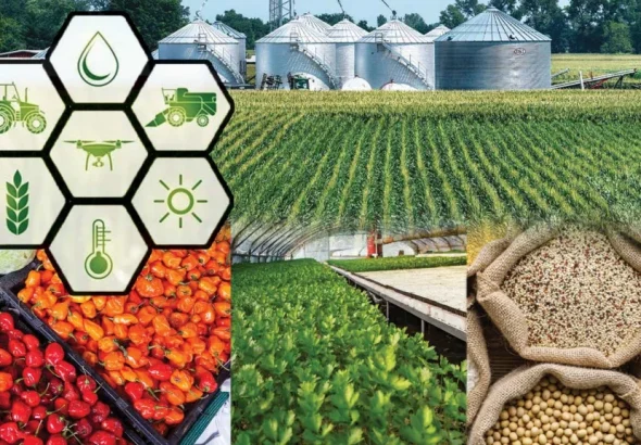 India Africa Food Security