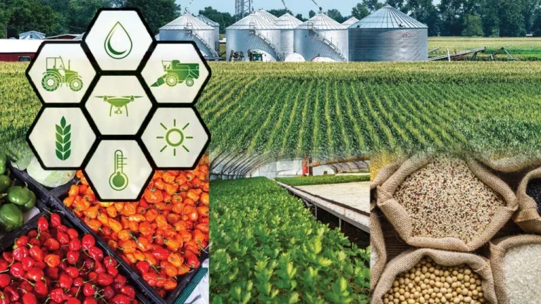 India Africa Food Security