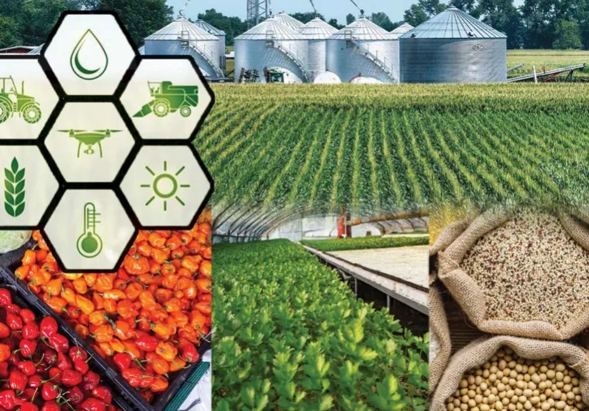 India Africa Food Security