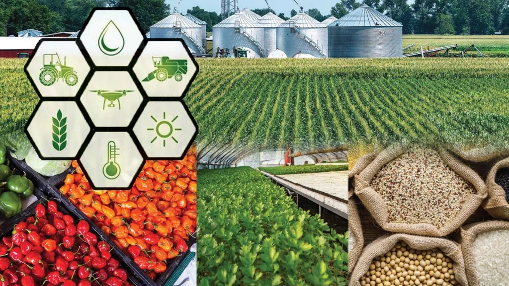 India Africa Food Security