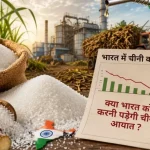 Sugar Crisis India ethanol el nino
