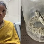 Odisha Snake Bite Incident