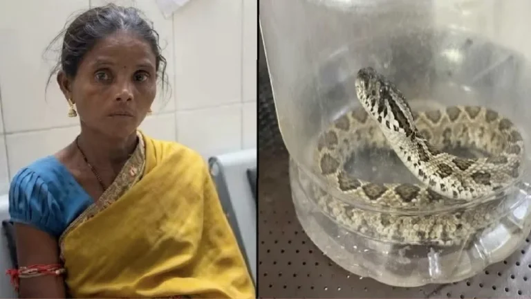 Odisha Snake Bite Incident