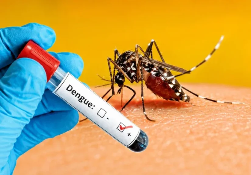 Dengue