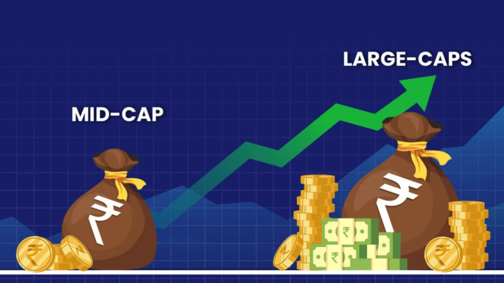 Large-Mid Cap Stocks