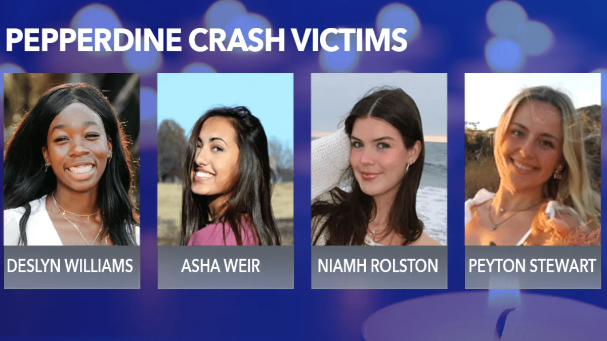 Malibu Crash Murder