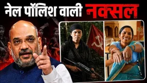 बंदूक छोड़ने के बाद कैसे बदली इस महिला की जिंदगी? Ex-Naxal Success Story