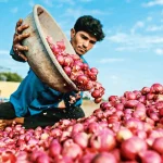 Onion Price Hike
