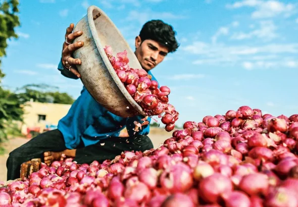 Onion Price Hike