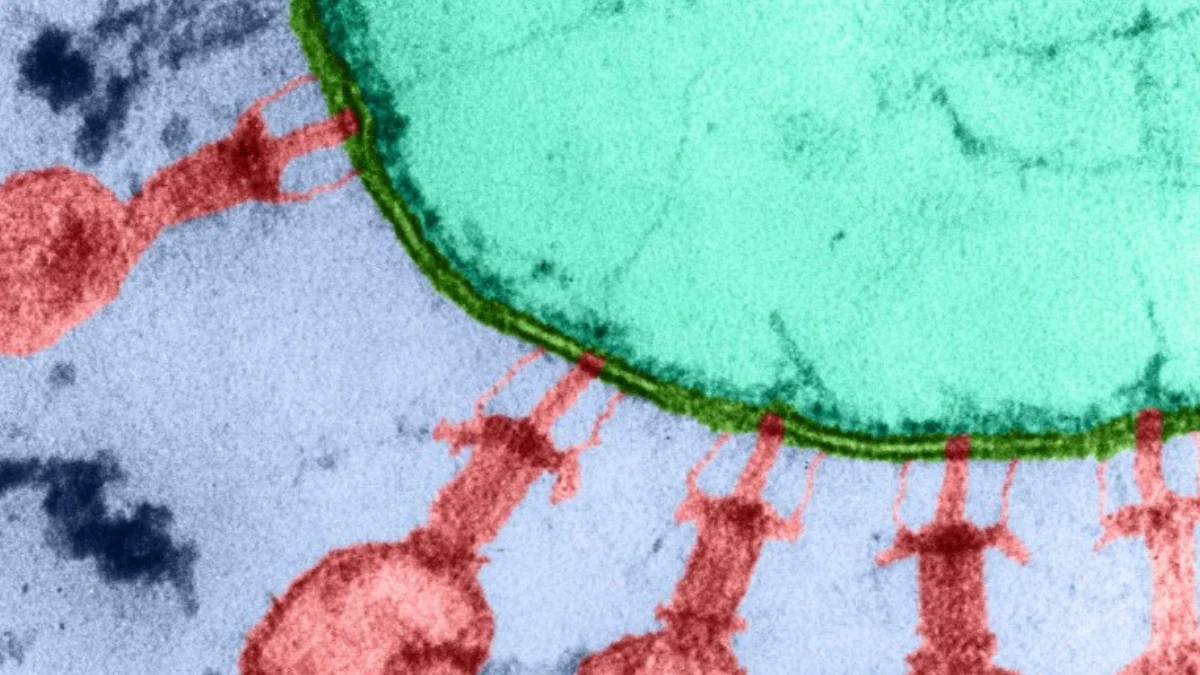 ai-created-viruses-bacteria-arc-institute-stanford-2026